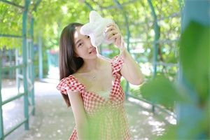 The impact of the dengue fever epidemic in Shanghai on rural communities The impact of the dengue fever epidemic in Shanghai on rural communities